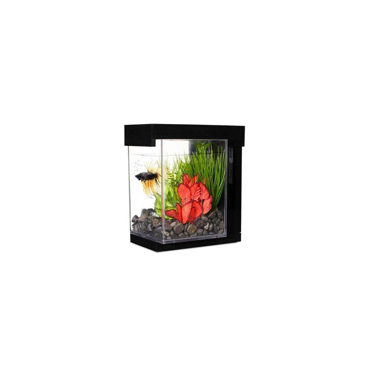 Betta EZ Care C1669